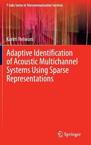 Adaptive Identification of Acoustic Multichannel Systems Using Sparse Representations de Karim Helwani