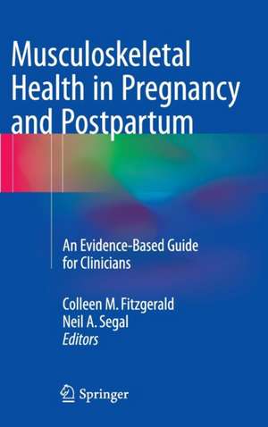 Musculoskeletal Health in Pregnancy and Postpartum: An Evidence-Based Guide for Clinicians de Colleen M. Fitzgerald