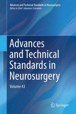 Advances and Technical Standards in Neurosurgery: Volume 43 de Johannes Schramm