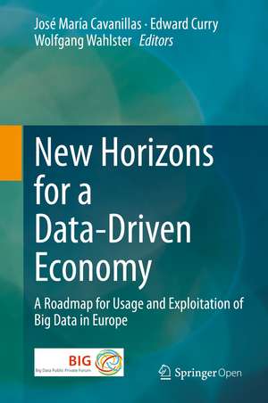 New Horizons for a Data-Driven Economy: A Roadmap for Usage and Exploitation of Big Data in Europe de José María Cavanillas