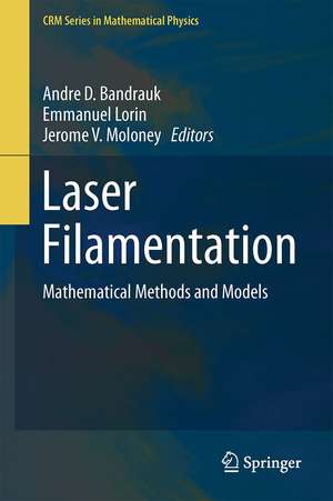 Laser Filamentation: Mathematical Methods and Models de Andre D. Bandrauk