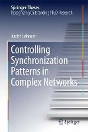 Controlling Synchronization Patterns in Complex Networks de Judith Lehnert