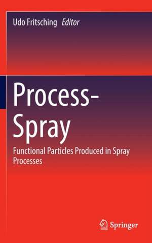 Process-Spray: Functional Particles Produced in Spray Processes de Udo Fritsching