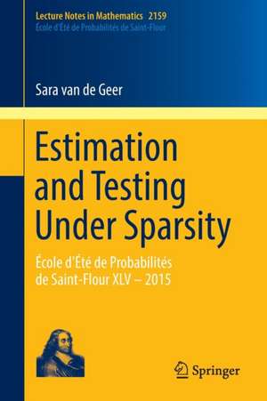 Estimation and Testing Under Sparsity: École d'Été de Probabilités de Saint-Flour XLV – 2015 de Sara Van de Geer