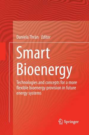 Smart Bioenergy de Daniela Thrän