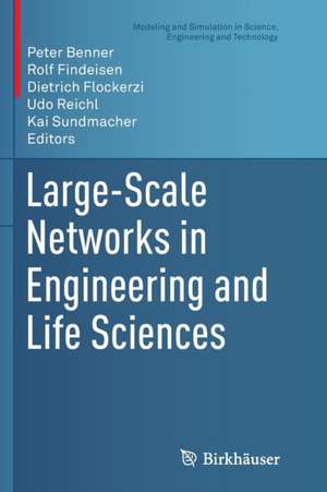 Large-Scale Networks in Engineering and Life Sciences de Peter Benner