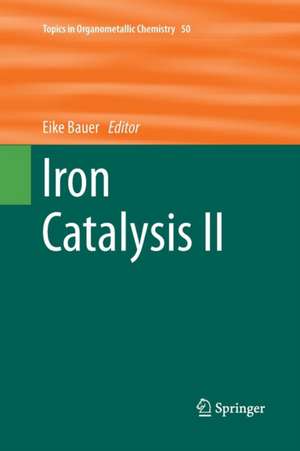 Iron Catalysis II de Eike Bauer