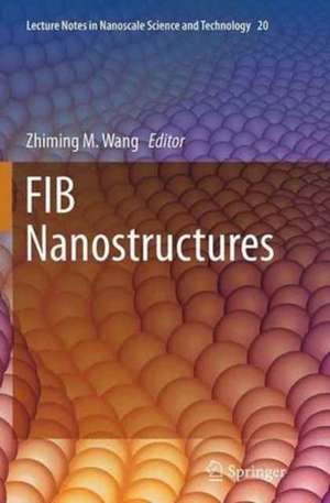 FIB Nanostructures de Zhiming M. Wang