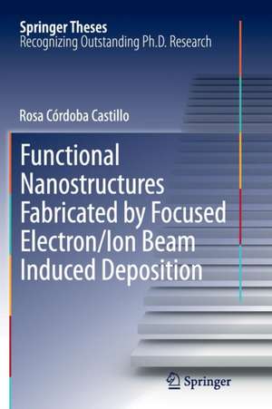 Functional Nanostructures Fabricated by Focused Electron/Ion Beam Induced Deposition de Rosa Córdoba Castillo