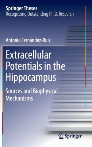 Extracellular Potentials in the Hippocampus: Sources and Biophysical Mechanisms de Antonio Fernández Ruiz