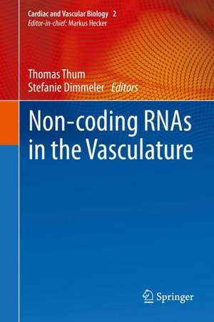 Non-coding RNAs in the Vasculature de Thomas Thum