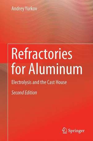 Refractories for Aluminum: Electrolysis and the Cast House de Andrey Yurkov