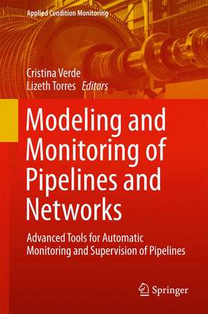 Modeling and Monitoring of Pipelines and Networks: Advanced Tools for Automatic Monitoring and Supervision of Pipelines de Cristina Verde