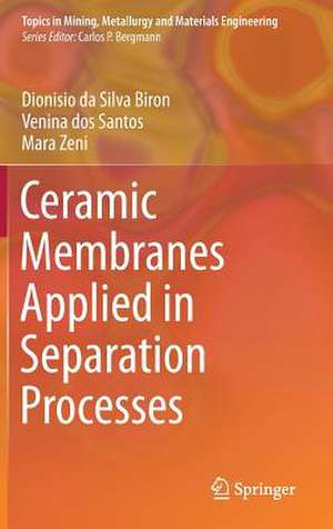 Ceramic Membranes Applied in Separation Processes de Dionisio da Silva Biron