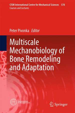 Multiscale Mechanobiology of Bone Remodeling and Adaptation de Peter Pivonka