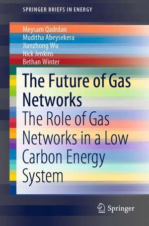 The Future of Gas Networks: The Role of Gas Networks in a Low Carbon Energy System de Meysam Qadrdan