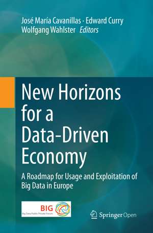 New Horizons for a Data-Driven Economy: A Roadmap for Usage and Exploitation of Big Data in Europe de José María Cavanillas