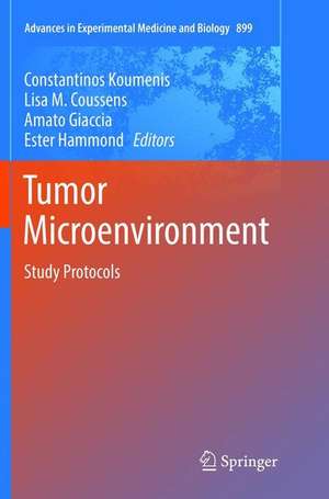 Tumor Microenvironment de Constantinos Koumenis