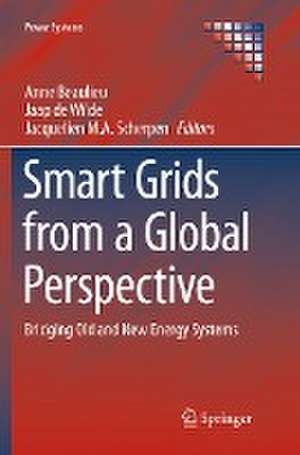 Smart Grids from a Global Perspective: Bridging Old and New Energy Systems de Anne Beaulieu