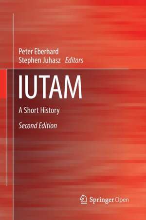 IUTAM: A Short History de Peter Eberhard