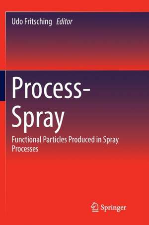 Process-Spray: Functional Particles Produced in Spray Processes de Udo Fritsching