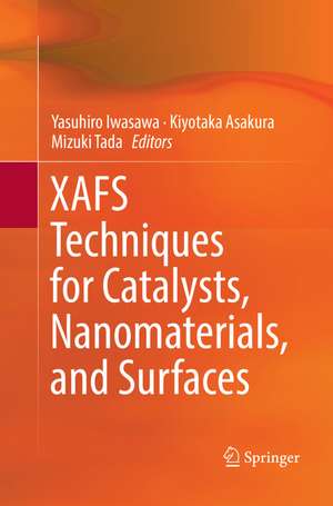 XAFS Techniques for Catalysts, Nanomaterials, and Surfaces de Yasuhiro Iwasawa