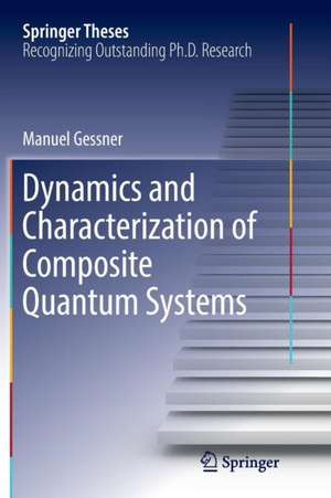 Dynamics and Characterization of Composite Quantum Systems de Manuel Gessner