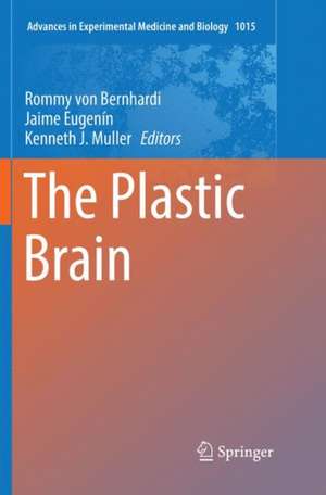 The Plastic Brain de Rommy von Bernhardi