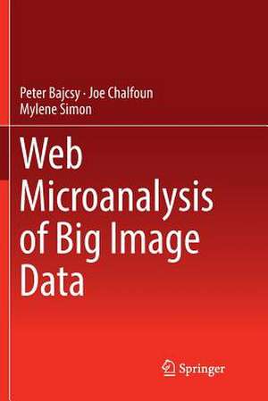 Web Microanalysis of Big Image Data de Peter Bajcsy