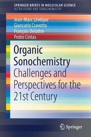 Organic Sonochemistry: Challenges and Perspectives for the 21st Century de Jean-Marc Lévêque