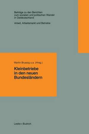 Kleinbetriebe in den neuen Bundesländern de Martin u.a. Brussig