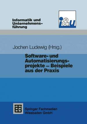 Software- und Automatisierungsprojekte — Beispiele aus der Praxis de Jochen Ludewig