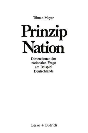 Prinzip Nation: Dimensionen der nationalen Frage, dargestellt am Beispiel Deutschlands de Tilman Mayer