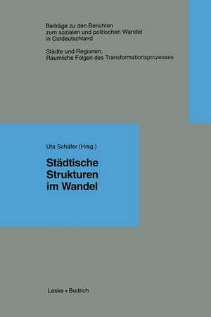 Städtische Strukturen im Wandel de Uta Schäfer