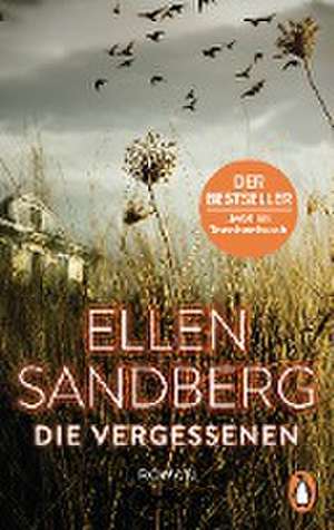 Die Vergessenen de Ellen Sandberg