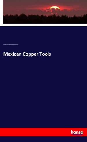 Mexican Copper Tools de Stephen Salisbury