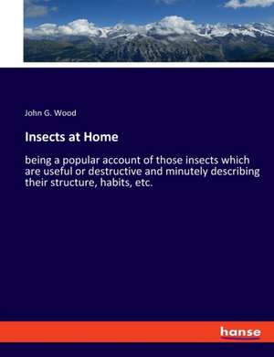 Insects at Home de John G. Wood