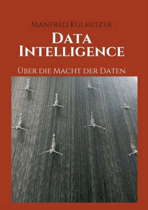 Data Intelligence de Manfred Kulmitzer