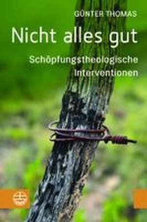 Nicht alles gut de Günter Thomas