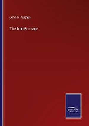 The Iron Furnace de John H. Aughey