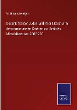 Geschichte der Juden und ihrer Literatur in den romanischen Staaten zur Zeit des Mittelalters von 700-1200 de M. Braunschweiger