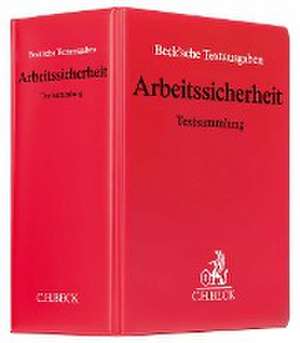 Arbeitssicherheit (mit Fortsetzungsnotierung). Inkl. 80. Ergänzungslieferung de Hans C. Nipperdey