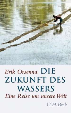 Die Zukunft des Wassers de Erik Orsenna