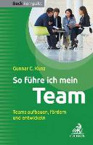 So führe ich mein Team de Gunnar C. Kunz