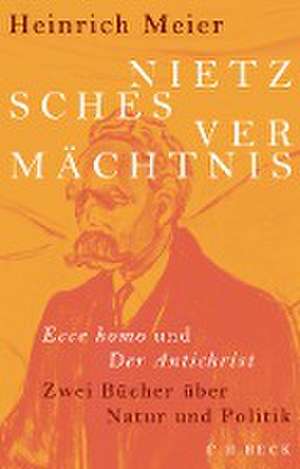 Nietzsches Vermächtnis de Heinrich Meier