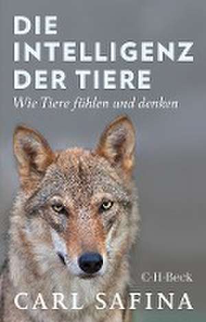 Die Intelligenz der Tiere de Carl Safina