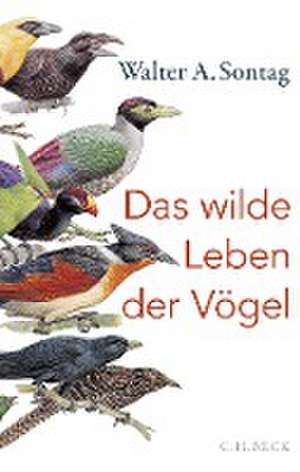 Das wilde Leben der Vögel de Walter A. Sontag