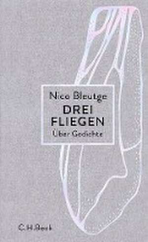 Drei Fliegen de Nico Bleutge