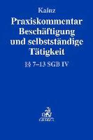 Praxiskommentar Beschäftigung und selbstständige Tätigkeit de Willi Johannes Kainz