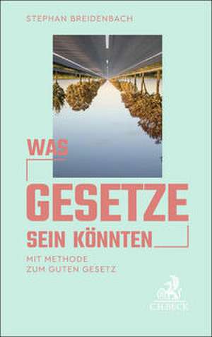 Was Gesetze sein könnten de Stephan Breidenbach